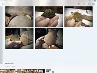 DCFAC26F-C68F-41E9-96D7-56C076CED562.webp