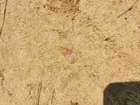 20210812_132533.webp