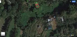 MapDowse2-Art-1.webp