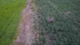DJI_0296.webp