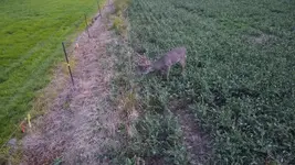 DJI_0305.webp