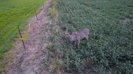 DJI_0306.webp
