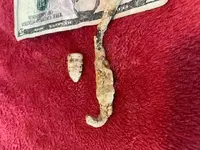 Iron hook 1.jpg
