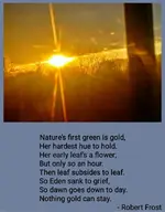 20200326080032eddec88e270774e7-1.webp 20200326080032eddec88e270774e7-1.webp
