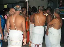 Brahmin.webp