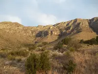 Cave was up at the top.webp