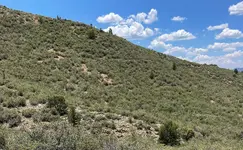 HILLSIDE.webp