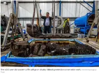 Tree Trunk Coffin Discovered 1.webp