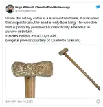Tree Trunk Coffin Discovered 2.webp