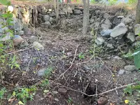 cellar 2.webp
