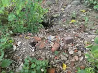 ground hog hole.webp