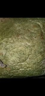 Screenshot_20210809-130908_Gallery.webp