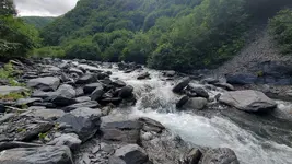 20210813_171805.webp