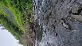 20210813_211300.webp
