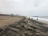 beach 8-21.webp beach 8-21.webp