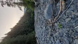 20210813_212116.webp