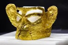 gold xi mask.webp