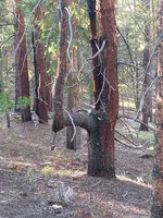 20210822_180544.webp