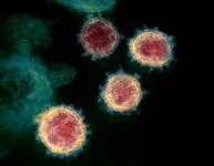 Novel_Coronavirus_SARS-CoV-2.webp