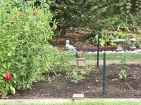 IMG_0262.webp