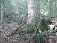 20210807_100237.webp
