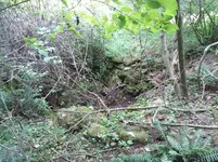 20210807_115234.webp