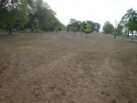 DSC04130.webp