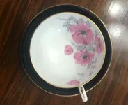 teacup 2.webp