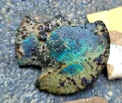 20210705_102946.webp