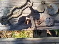 IMG_20210917_163114212_HDR.webp