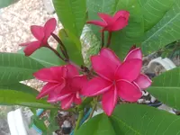 20210822_071101.webp
