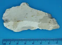Neolithic Scraper 2.webp