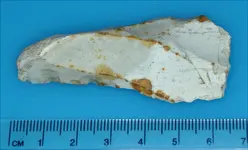 Neolithic Blade.webp