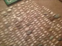66E56B17-F187-49E4-9AED-3FE5D940672A.webp