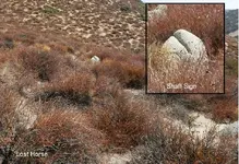 Shaft Sign 001.webp