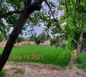 20210715_195508.webp