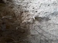 20210918_113555.webp