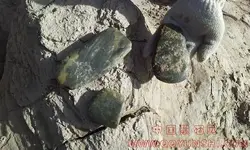 143926sfvoxcpppv3ap0mw.webp