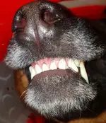 20190125_130530.webp