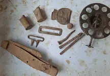 Woodsy finds.webp