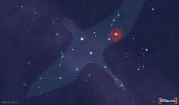 Boom Star 2021.webp
