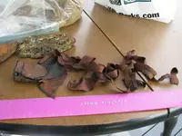image000000(1).webp