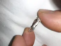 20201220_111312.webp