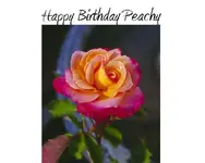 Peachy.webp