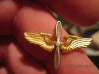 wings.webp