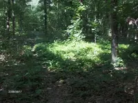 HPIM0253 (Small).webp