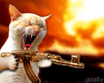 kitty kitty.gif