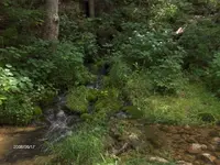 HPIM0254 (Small).webp