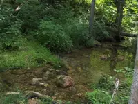 HPIM0255 (Small).webp