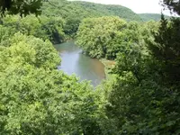 HPIM0257 (Small).webp